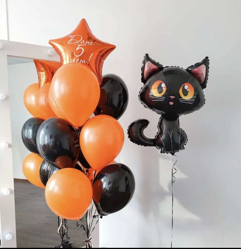 Черный котенок