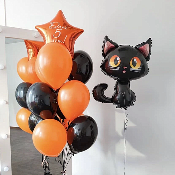 Черный котенок